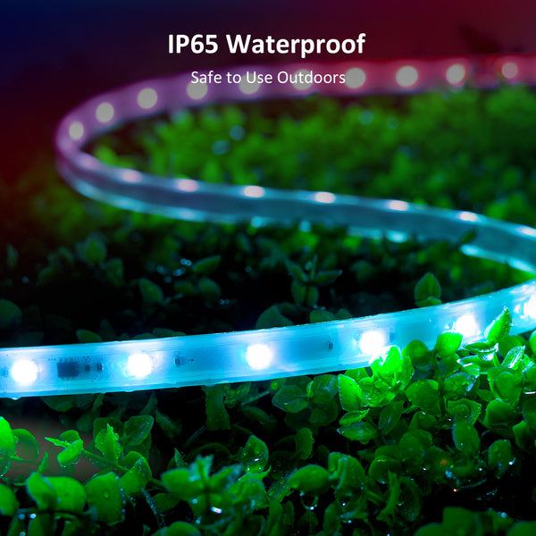 Lasting Rainbow 52.5ft 16M IP65 Smart Rainbow-Color Strip Lights