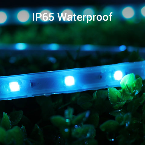 Novostella Staribbon 105ft 32M IP65 Smart RGB Strip Lights